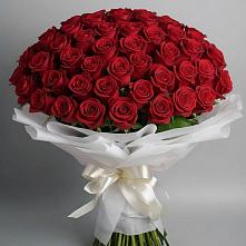 Букет 101 Красная роза Блэк Мэджик в Спасс
