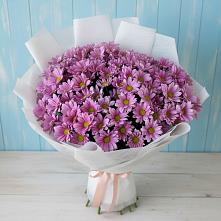 Букет цветов из:  Хризантемы в Спасс