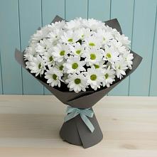 Букет цветов из:  Хризантемы #REPLACE_PRED# Спасс