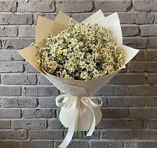 Букет цветов из:  Ромашки #REPLACE_PRED# Спасс