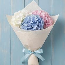 Букет цветов из:  Гортензия в Спасс