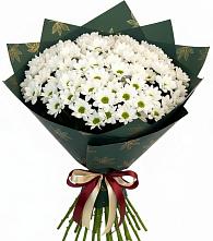 Букет цветов из:  Хризантемы #REPLACE_PRED# Спасс