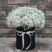 Цветочная композиция из Гипсофила в шляпной коробке #REPLACE_PRED# Спасс