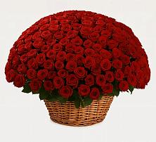 Премиум букет из: Розы #REPLACE_PRED# Спасс