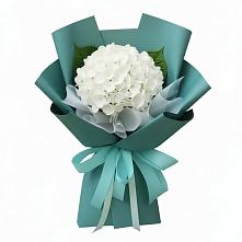 Букет цветов из:  Гортензия в Спасс